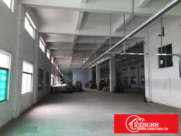 石排镇独院厂房出租便宜