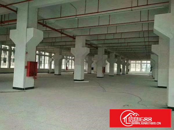 (出租）新建厂房，带消防喷淋，工业用地可办环评500起分