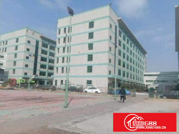 寮步镇大型工业园招租，1000平起分租！