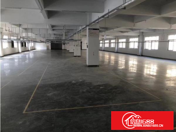 大岭山新出独院原房东厂房3600平方，带独立变压器，可办环评