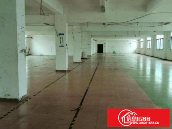 坪山石井坪葵路262号