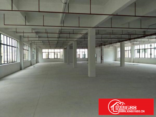 惠阳秋长新出1000平楼上原房东厂房有喷淋空地大