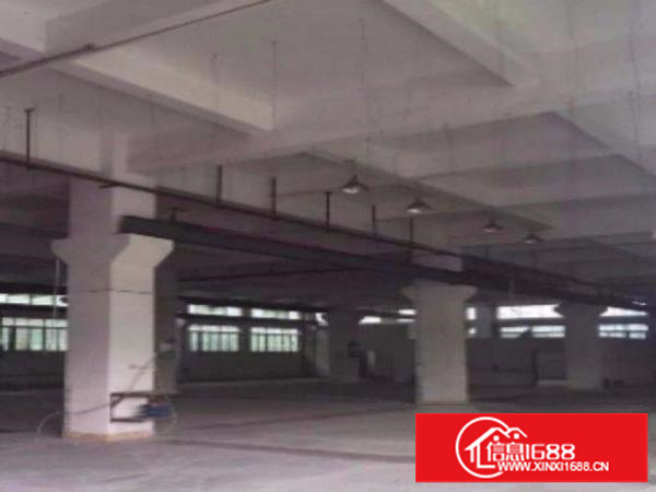 平湖上木古新出标准厂房楼上1400平方带牛角出租