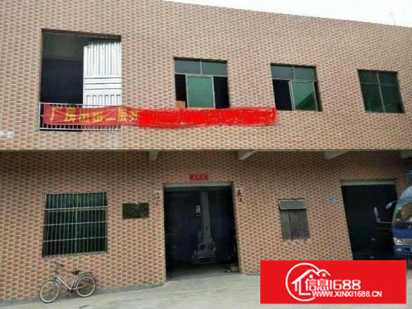 大岭山大塘原房东独栋民房2层800平方出租无公摊