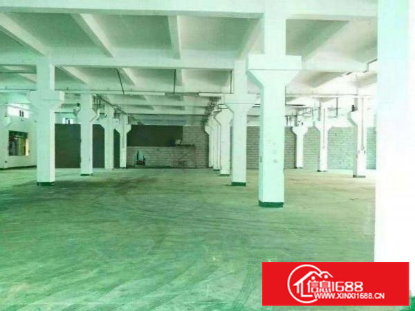 新墟一楼1800平方厂房带牛角出租可分租