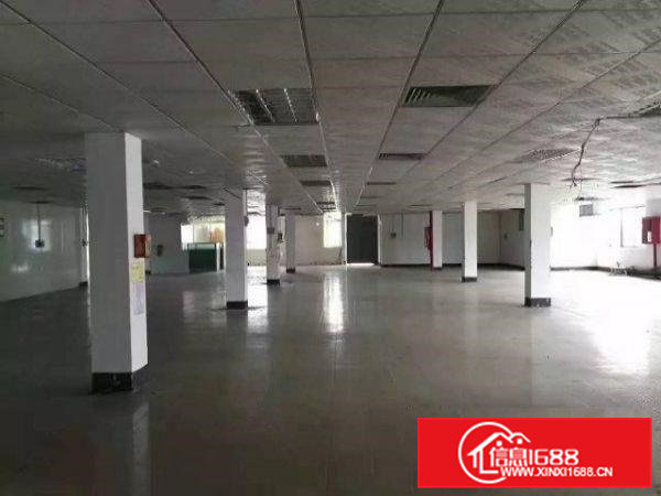 清溪清厦2500平方独门独院厂房出租