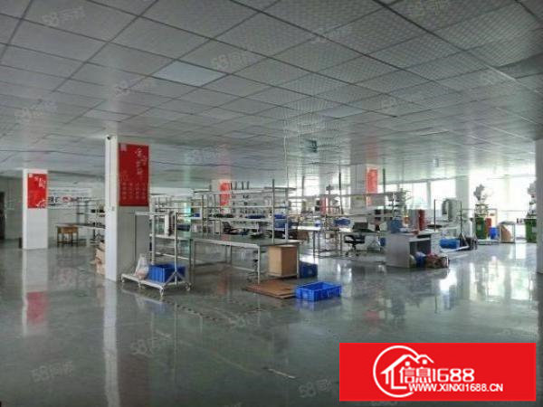 商业中心精装修3500平米，可分租，1000平米起租