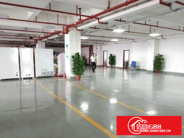 平湖标准一楼1100平方灰色地坪漆精装修出租可分租