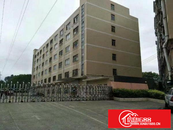 红本厂房仓库出租2000平米可分一半，合同可6年