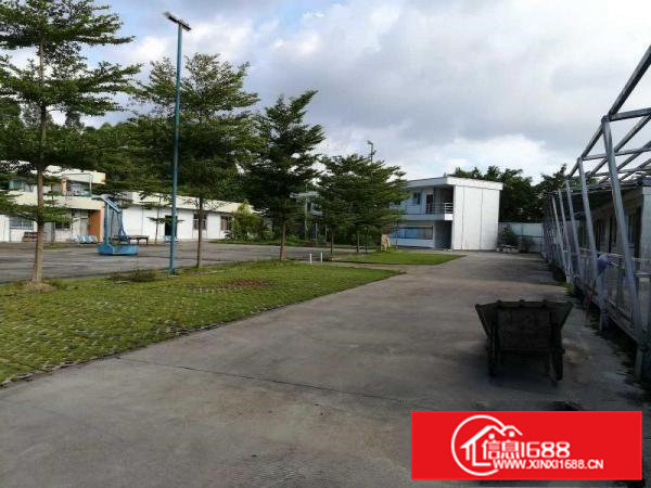 出租横沥单一层钢结构厂房11000平方