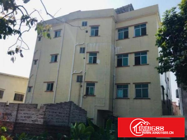 圆山大道边上的小厂房