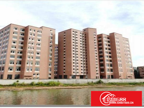 带红本工业园全新标准厂房出租一楼7.5高带牛角可分租工业地