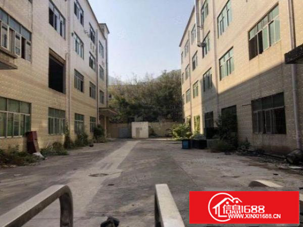 福永107国道5200平米独门独院厂房出租。原房东可分租