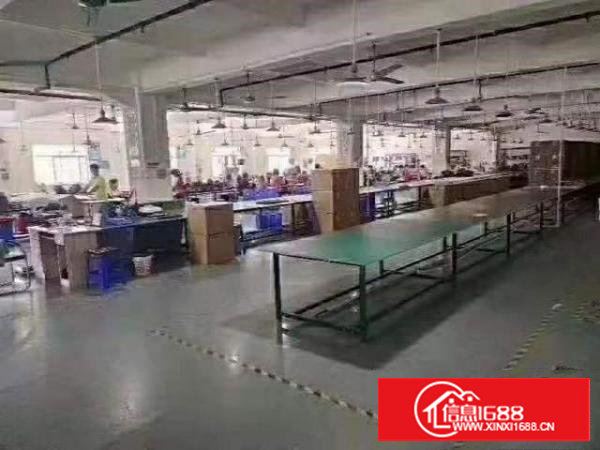 出租长安上沙新出楼上800平豪华装修厂房红本厂房