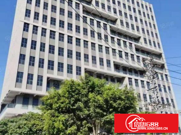 大朗富民松源7000全新标准工业厂房层高8米智能消防系统齐全