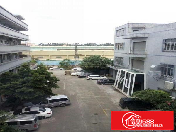 高埗独院标准楼房1-3层10000平方出租工业用地可办环评