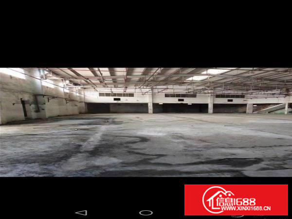 茶山1700㎡间易厂房