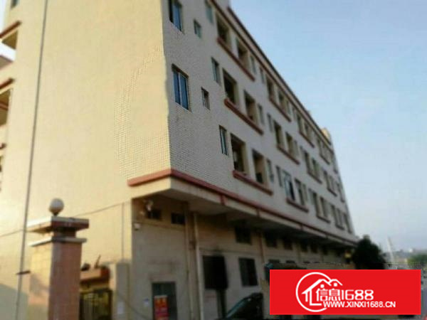 惠阳镇隆工业区独院标准厂房4800平业主带装修直租