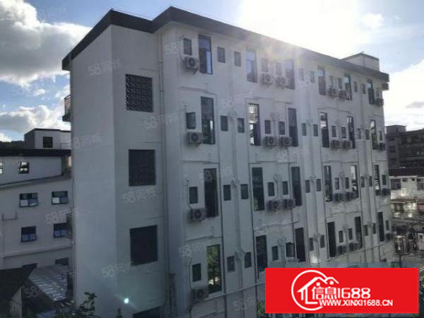 SW临近罗湖红本写字楼出租可注册