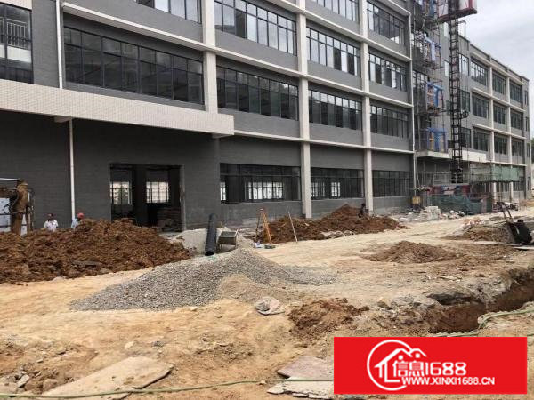 横岗靠近布吉地铁口全新红本原房东空地大享受租金补贴可以分租