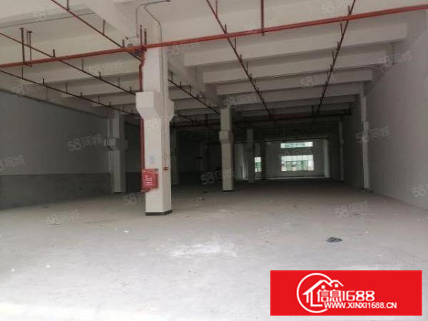 清溪大利新出全新标准厂房带牛角800平方6.5米租金9.9元