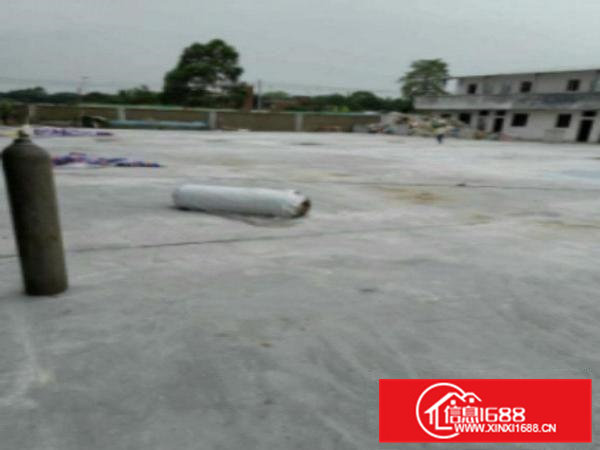 高埗新出独门独院单一层厂房1300平方出租