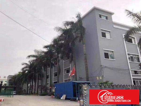 黄草朗一楼1100平方招租正规工业园可办环评有办公室配备饭堂