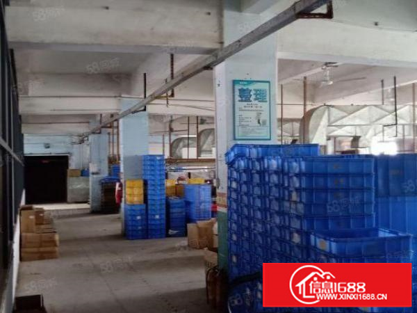 金凤凰新出独院厂房二楼整层800平米一手房东直接出租带装修