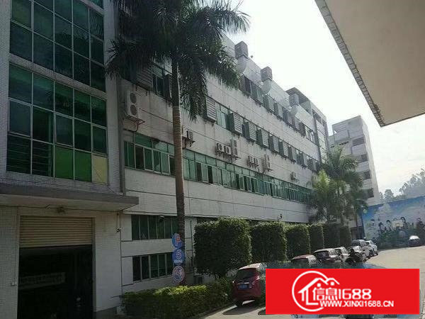 平湖辅城坳楼上带装修1000平出租