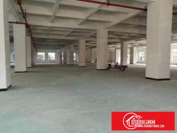 石碣镇全新标准厂房出租二楼整层5500方，租金17元！