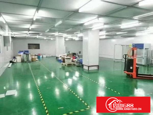 口罩客户免费租，2000平无尘车间长安，房东提点抽成
