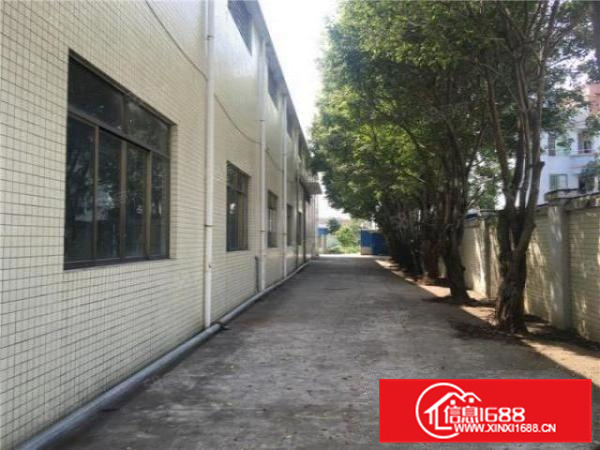 便宜靓仔!杏坛单层4000方有保证可办证实用高