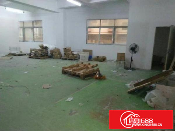 福永塘尾新出厂房仓库出租600平