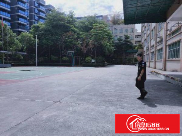 寮步下岭贝新出原房东一楼2000平实际面积低价出租