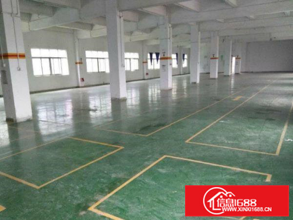 横沥山厦新出二楼1320平厂房带装修空地大