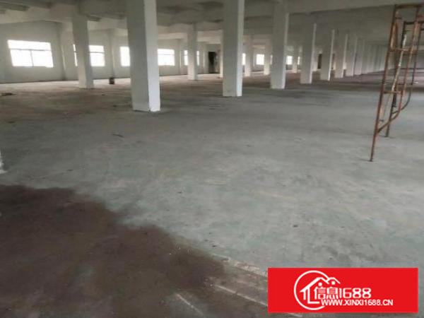 中介勿扰！清溪清凤路标准厂房出租，二楼双电梯