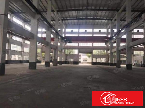 不拆迁，杏坛工业区单一层中高12米出租，可分租，可办环评