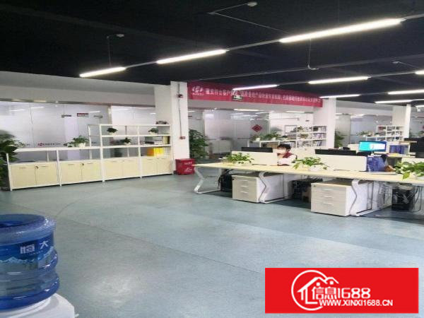 龙岗区横岗荷坳地铁口精装修小独院3060平方可以分租招工方便