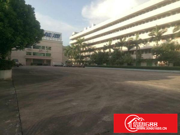 靓小金口独院厂房1万平米招租