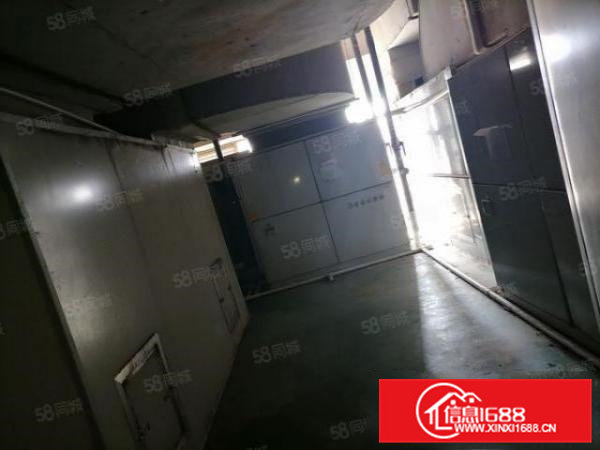 寮步靠松山湖原房东红本小独院厂房出租