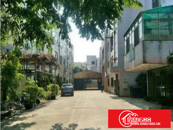 出租坪山飞东新出7米高独院厂房1800㎡