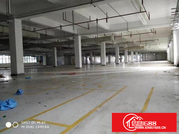 丹竹头地铁D出口150，280;500平等厂房招租