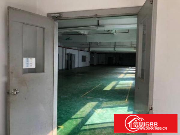 出租横沥横沥城区厂房