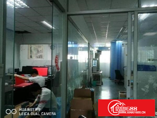 坪山石井新出一二楼共1500平带两顿电梯招租（可分租）