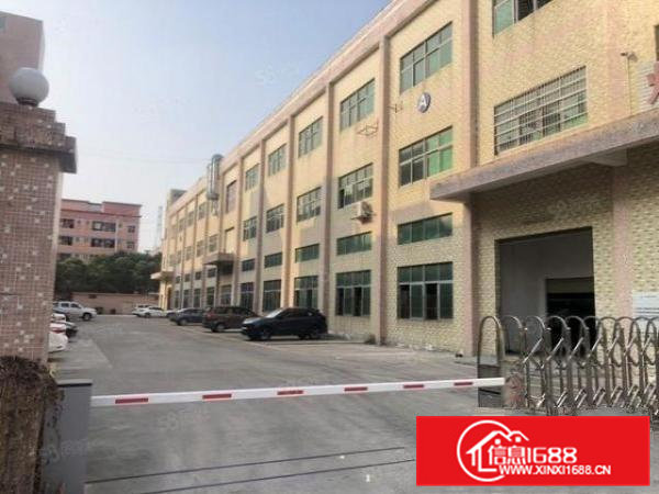 清溪新出原房东一楼厂房1180平方实际面积出租