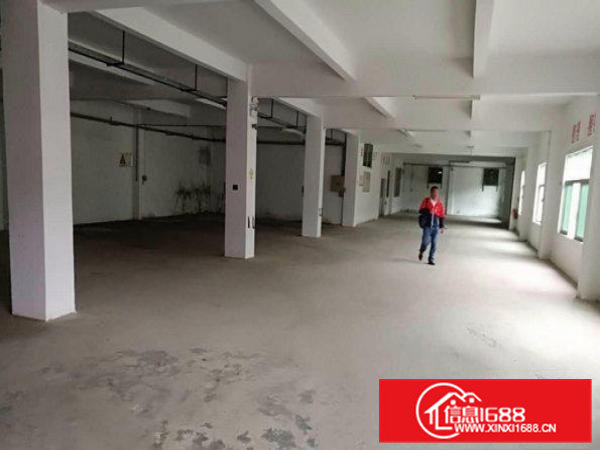 常平陈屋贝独院厂房1-3层2660平方出租空地大