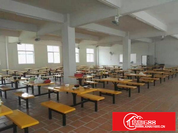 .清溪三中空出独栋厂房4800平每层有消防喷淋可分租