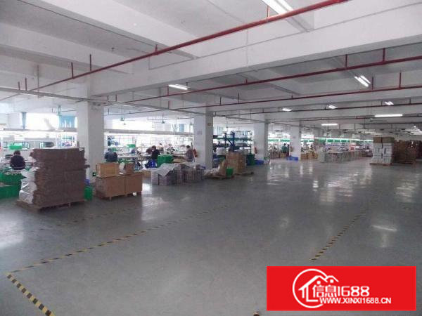 出租常平标准厂房全新装修全新消防设施及喷淋已办环评