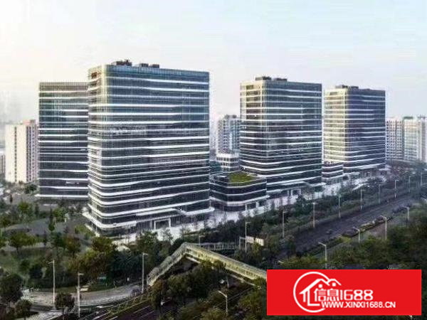 光明全新玻璃幕外墙全年免租有政府补贴厂房出租