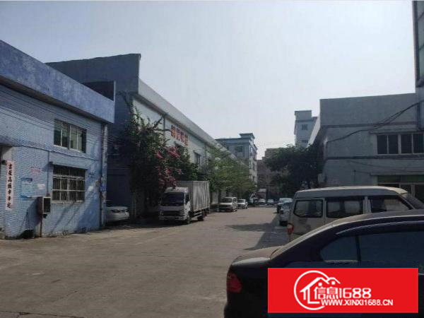 上元原房东单一层独院2200平方招租，价格实惠